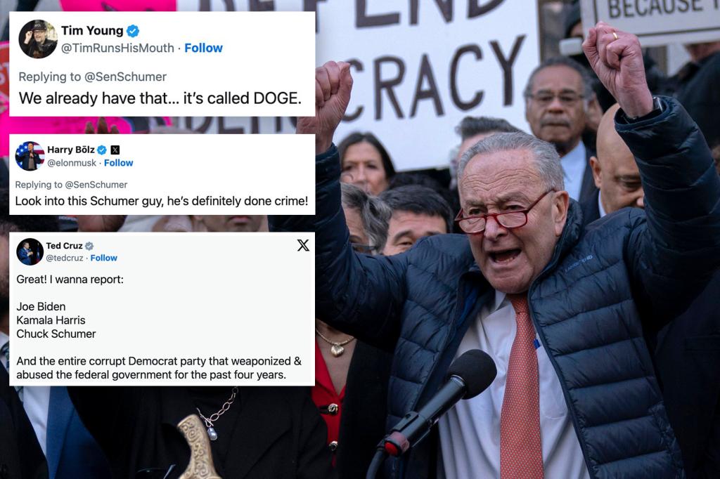 Chuck Schumer brutally mocked over tipline to report government ‘abuses of power’