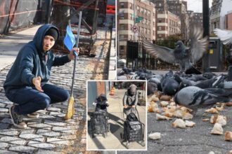 Exclusive | Brazen pigeon feeders turn NYC park into rat-infested hellhole