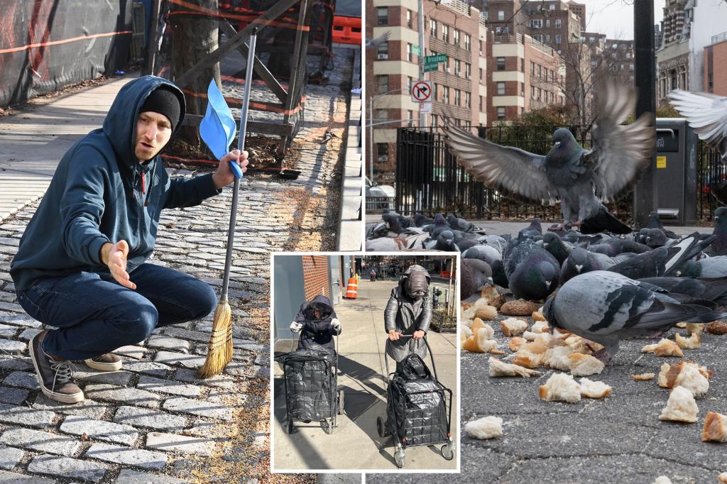 Exclusive | Brazen pigeon feeders turn NYC park into rat-infested hellhole