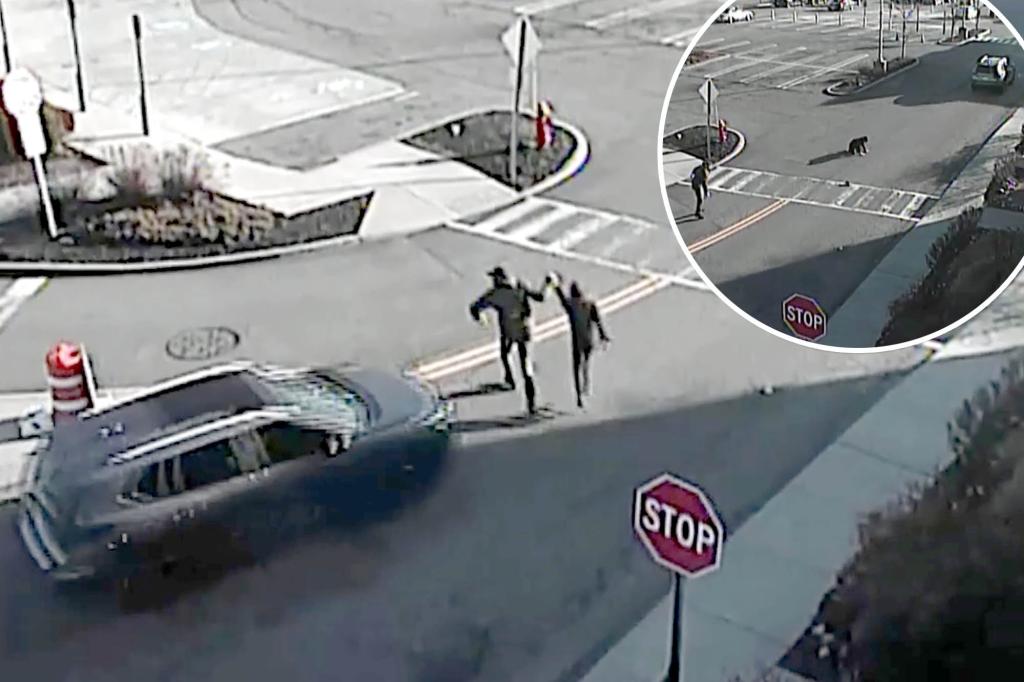 Shocking video shows hit-and-run driver plow into father, 12-year-old son in Yonkers