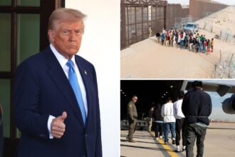 Experts break down how Trump’s illegal immigrant registry will help ICE round up millions – and why migrants may register