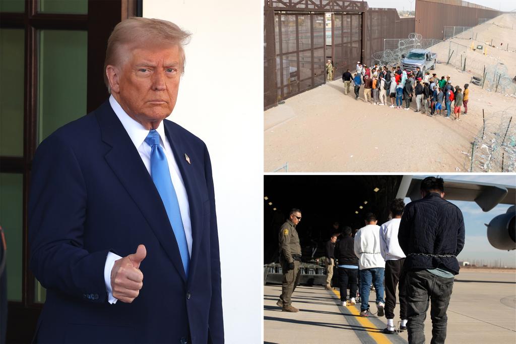 Experts break down how Trump’s illegal immigrant registry will help ICE round up millions – and why migrants may register