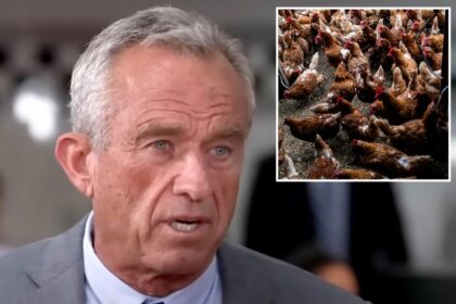 RFK Jr. warns against vaccinating birds amid avian flu: ‘You turn those flocks into mutation factories’