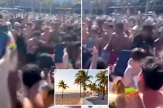 Mayhem ensues as huge crowd gathers to watch Florida spring breakers hold illegal beach boxing match, wild video shows