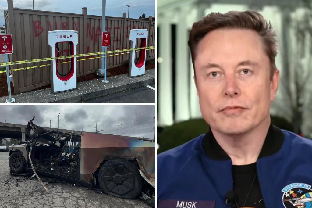 Elon Musk shocked over nationwide Tesla vandalism as DOGE uncovers government waste: ‘Some kind of mental illness’