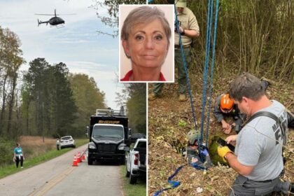 Chick-fil-A worker, 67, survives car crash — only to fall to her death in hidden ‘deep well’ as she tried to get help: cops