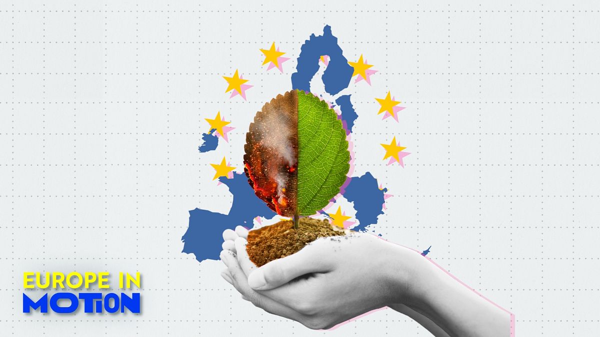 Supportive but sceptical: Where do Europeans stand on climate action?