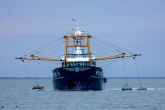 Economic cost of bottom trawling outweighs benefits, study finds