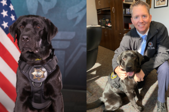 ‘Golden State Killer’ prosecutor enlists special K-9 to sniff out cybercrimes in new digital strategy