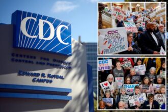 180 CDC employees called back to work after being axed by Trump admin two weeks ago: report