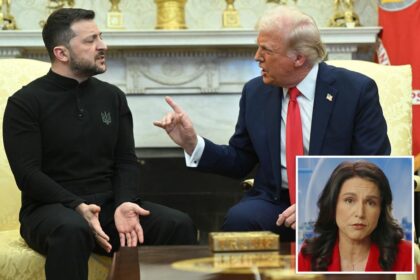 DNI Gabbard sounds off on Europe’s ‘divergence’ from US values after tense Trump-Zelensky meeting