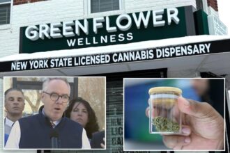 LI towns at Queens border want buffer from NYC pot-shop ‘shenanigans’