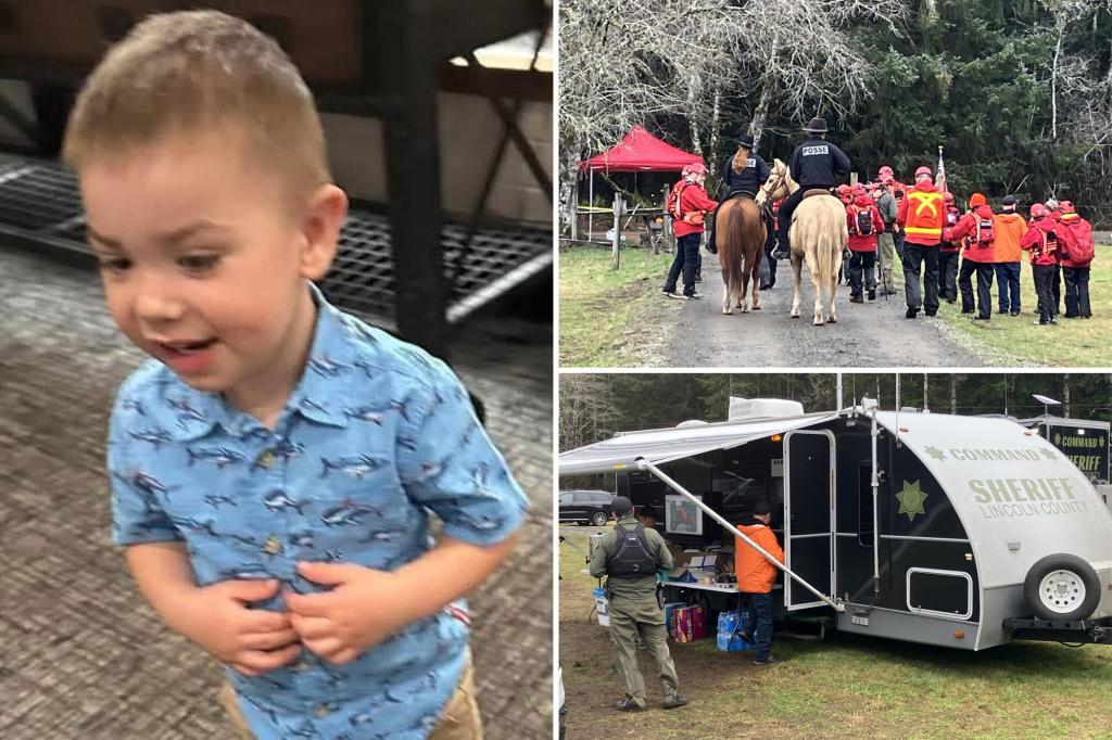 Authorities and 140 volunteers desperately search for Oregon boy, 2, who mysteriously vanished from front yard