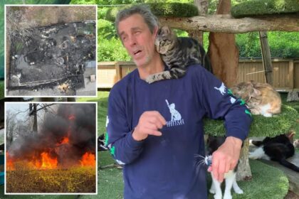 One person, at least 100 cats killed in suspicious Long Island animal sanctuary fire: ‘It’s a horrible situation’