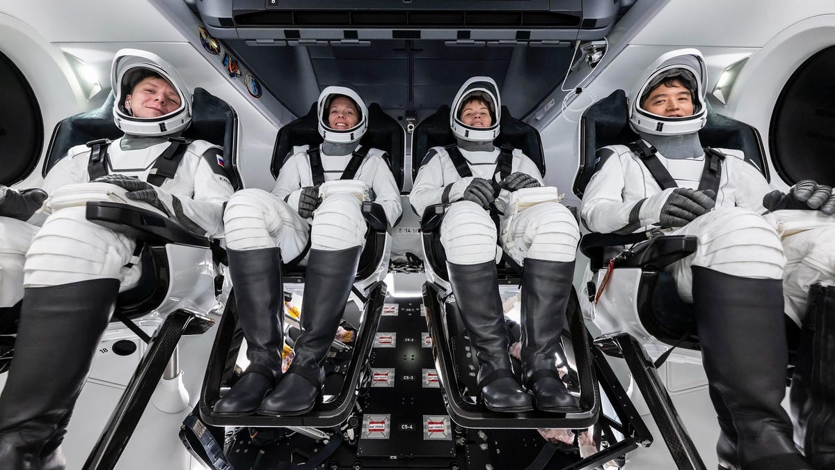 NASA Scrubs Launch of New Space Station Crew: What to Know