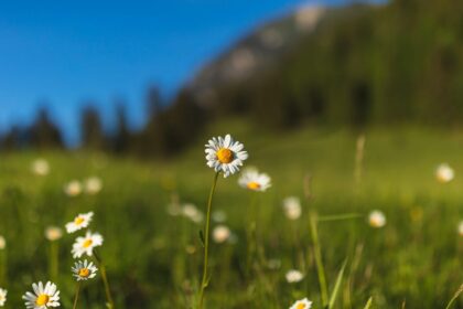 Feeling ‘Off’? This Is Why Springtime Can Affect Your Mood