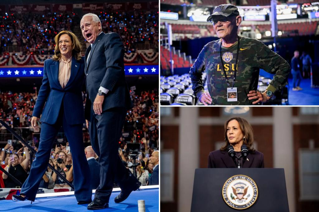 James Carville says Dems need ‘a lot better candidate’ in 2028 than Kamala Harris