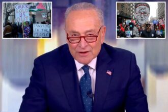 Chuck Schumer defends funding vote amid progressive backlash, saying shutdown would bring ‘devastation like we’ve never seen’