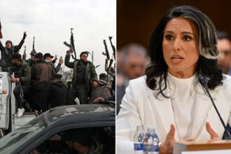 Tulsi Gabbard’s warning to Senate on Syria proves prophetic as Al Qaeda-linked regime slaughters minorities