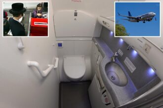 ‘Constipated’ United passenger claims pilot broke down bathroom door, had him arrested for hogging toilet: lawsuit