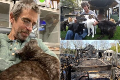 Owner of Happy Cat Sanctuary who died in suspicious fire devoted his life to saving animals: ‘A humanitarian and a great person’
