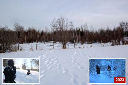 Northern border sector previously overrun by illegal migrants sees dramatic drop in crossings: ‘We haven’t seen anyone since November’