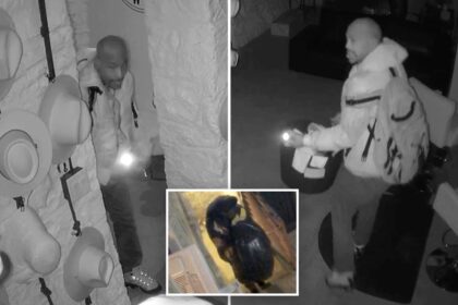 Career ‘thief’ steals K in wigs from Brooklyn shop that helps cancer patients