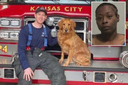 Missouri firefighter paramedic dead after being stabbed in ambulance by patient: ‘Unfathomable crime’