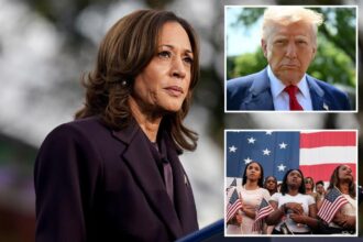 Trump would still beat Harris in 2024 revote, survey finds — despite president’s flagging polls