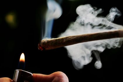 Dutch cannabis growers welcome expansion of scheme to legalise sales