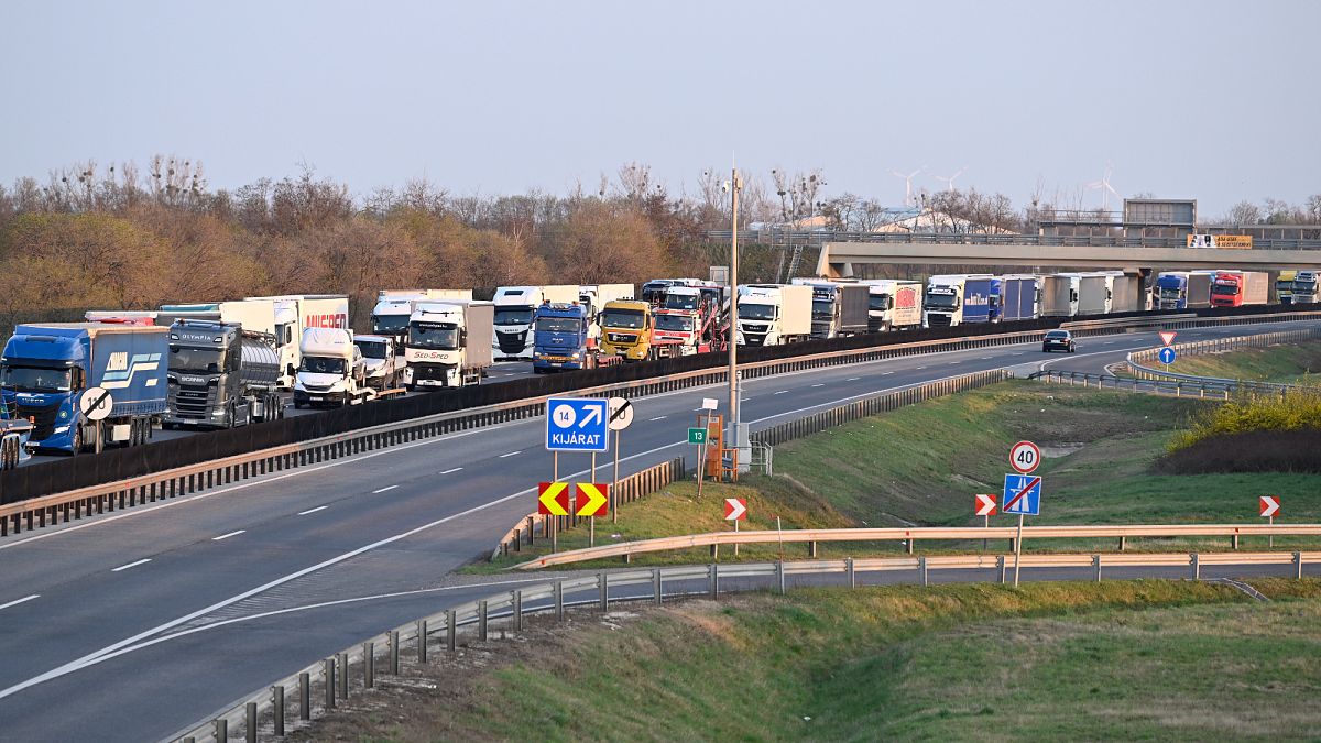 Gridlock at Slovakia border crossings over foot-and-mouth disease