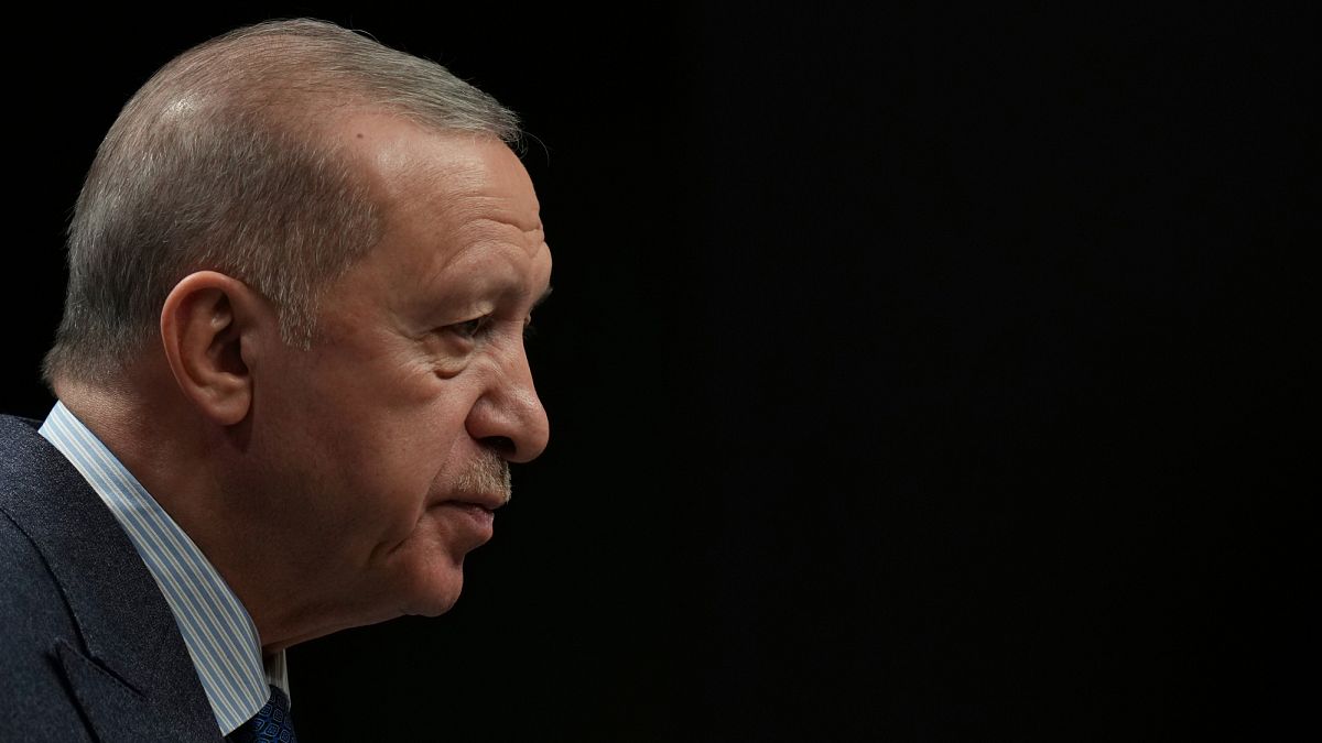 Erdoğan positions Turkey as point of stability for European security