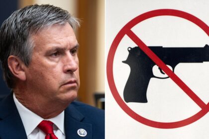 Bill taking aim at IRS would strip agency of guns and ammo