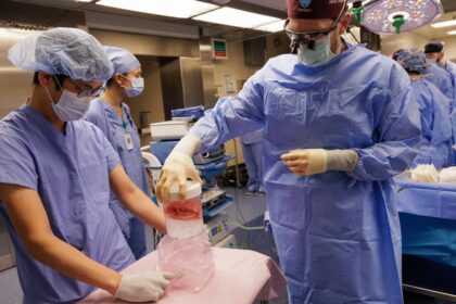 Animal-to-Human Organ Transplants: How They Work