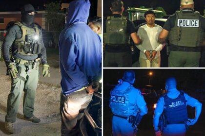 Nearly 800 illegal immigrants — including convicted killer and suspected terrorist — arrested in massive Florida ICE raid
