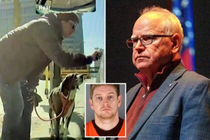 Member of Minnesota Gov. Tim Walz’s administration allegedly caused K in damage while vandalizing Teslas: report
