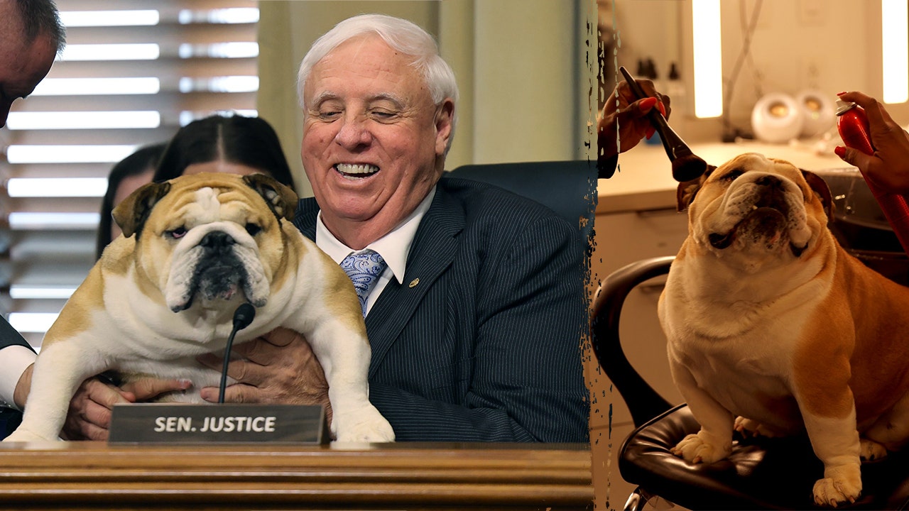 Babydog Justice makes Energy Committee debut as Sen Jim Justice talks Trump, coal and grid reform