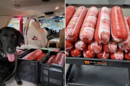 CBP in Texas confiscates 242 pounds of smuggled Mexican bologna at port of entry