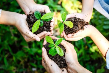 9 Garden Tools You Need (and 7 You Don’t), According to Experts