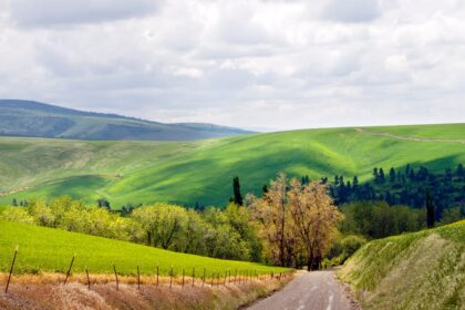 Best Internet Providers in Walla Walla, Washington
