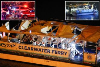 Florida man who fatally crashed speeding boat into ferry full of passengers and fled was sober during horrific accident: police