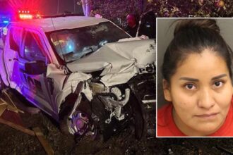 Florida police officer injured after illegal alien crashes into marked patrol car