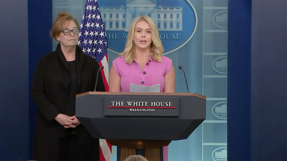 White House Press Secretary Karoline Leavitt holds briefing in a pink dress