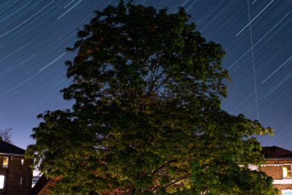 Lyrids Meteor Shower Peaking Tuesday: Get Outside and Watch the Fireballs