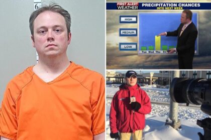 Former TV weatherman Josh Fitzpatrick accused of secretly filming sex tape and threatening to release it
