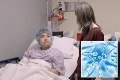 New groundbreaking procedure on 26-year-old man can potentially reverse male infertility: ‘This is promising science’