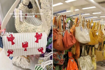 Bizarre ‘lobster’ purse has fashionistas vowing they’d ‘sell a kidney’ — you can get one for  at this popular discount store