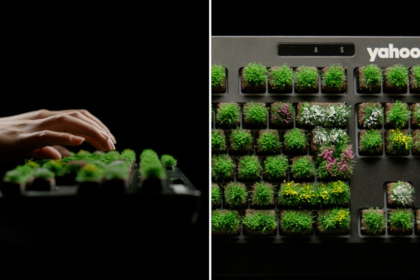 April Fools’ Day 2025 Pranks: Grass Keyboard, Catnip Car Seats, 5-Year World Cruise
