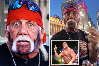 Oh, brother! Hulk Hogan raises eyebrows with dramatic new look: ‘What style would you call this?’
