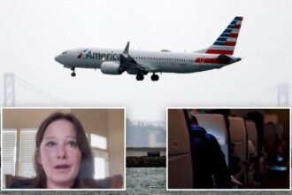 American Airlines ‘blamed’ mom who was sexually assaulted by known serial predator: lawsuit